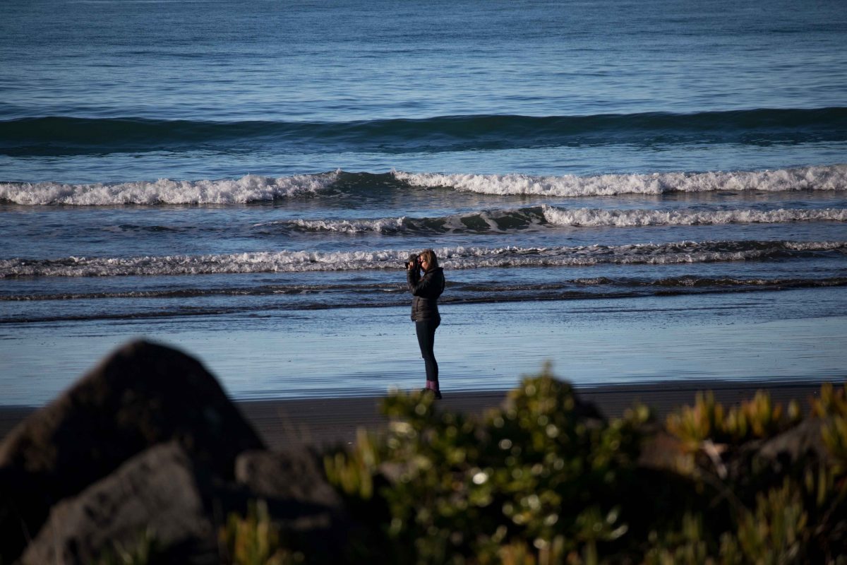 sumner beach